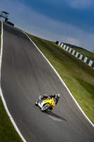 Advanced Group Yellow Bikes